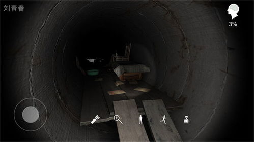 井底人凤凰密盒密码，井底人游戏通关教程