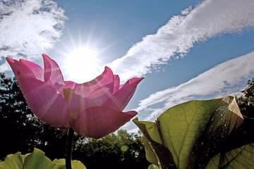 形容太阳的成语有哪些?