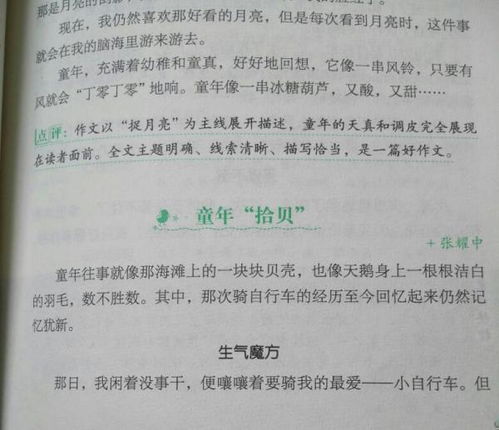 自己亲自经历过的事情写作文