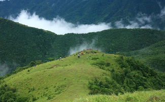天露山无忧谷酒店电话，天露山旅游度假区门票