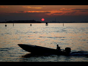 泛舟是什么意思