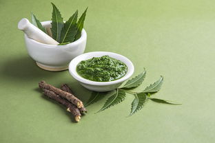 《艾子邻人卖犬》文言文翻译