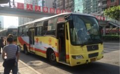 龙雾里到杨庄村社区乘几路公交车?