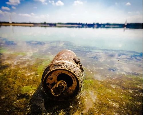 环境污染带来的危害有哪些，环境污染带来的危害100字