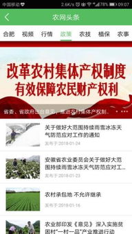 惠农区风力是不是很大