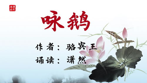 咏鹅古诗朗诵音频，咏鹅古诗朗诵拼音