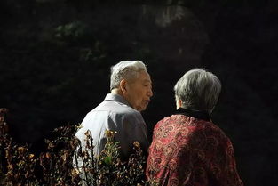 悲恸的读音，悲恸欲绝和悲痛欲绝的区别