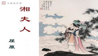 湘夫人教案两课时，湘夫人教案ppt