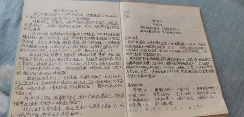 有关留香作文600字