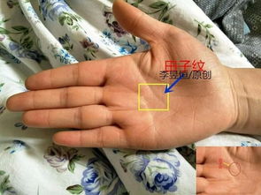 斩子纹怎么判断,是皱眉才出现还是平静面部下也能看见?如何化解?_百度知