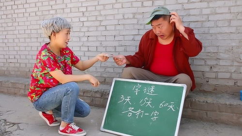 六十天打一字谜答案，一公一母打一字