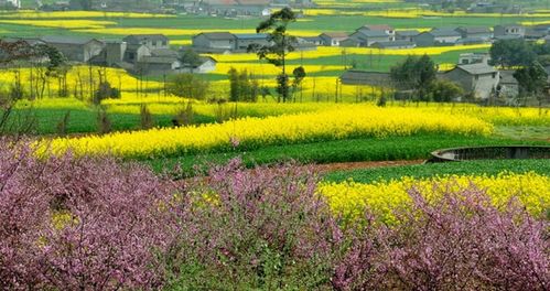 四川绵阳的气候是什么样的?