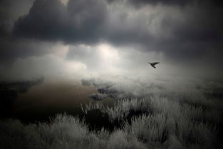 凄冷组词，凄冷造句