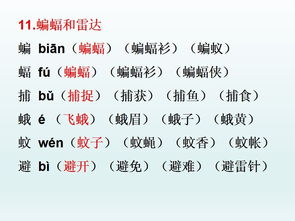 珑组词有哪些词语