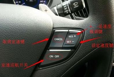 cruse是什么意思车上的，crush什么意思