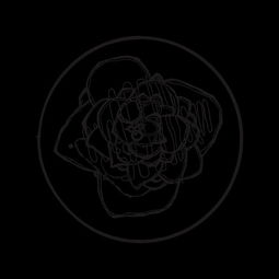 homologous数学，homologous recobination