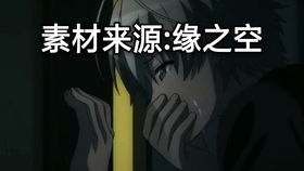 泪奔是什么意思，感动泪目是什么意思