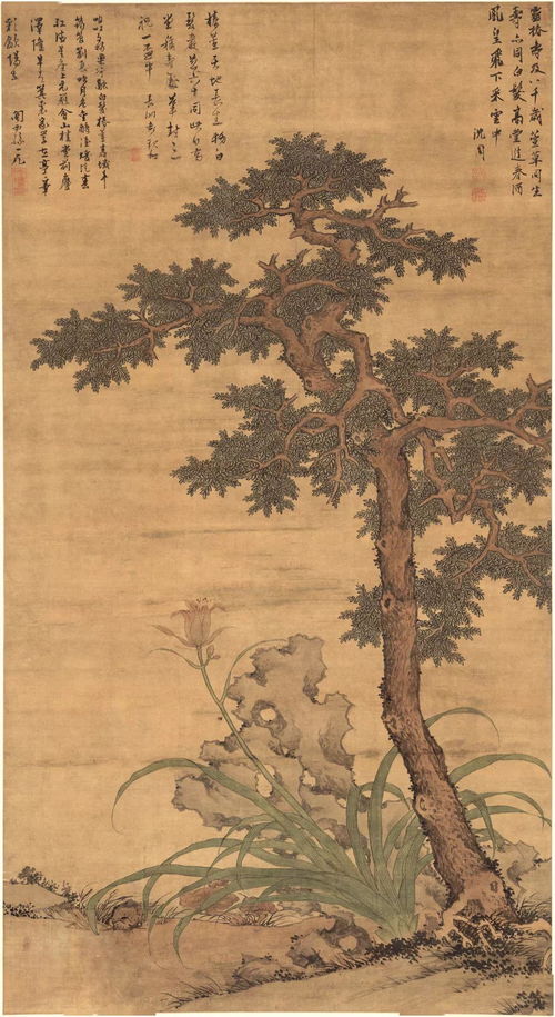 椿萱是什么意思