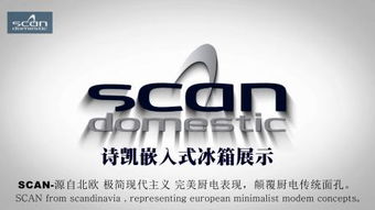 domestic什么意思及同义词 翻译domestic的意思