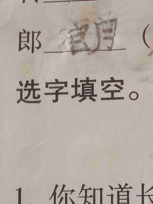 隽组词有哪些?