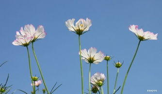 乐意助人的小学作文400字，乐意助人的同学作文,三年级