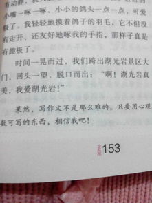 新学期的打算四年级周记100字