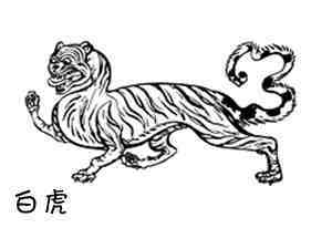 青龙怎么画