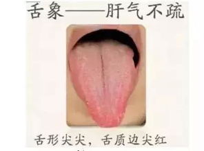 树心旁加舌念什么