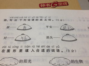 虚荣的反义词是什么