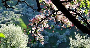 竹山天气预报15天查询一个星期，竹山天气预报四十天