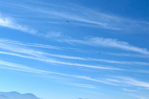 梦见蓝天白云很好看，梦见蓝天白云是什么意思