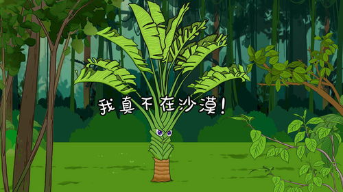 丛林的意思是什么?