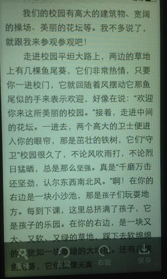 我的校园说明文
