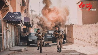 急起直追是什么生肖，勇往直前