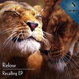 recall是什么意思