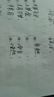 腮组词有哪些词语