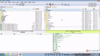 keyword是什么意思
