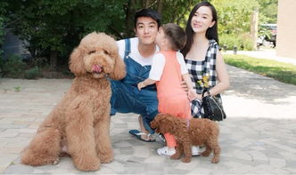 狗狗和狗妈妈生孩子宝宝能要吗