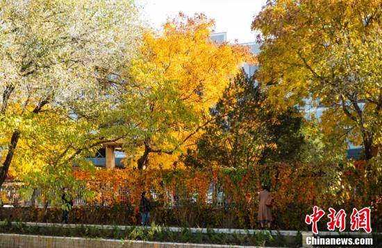 金秋是什么意思百度作业帮