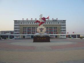 临西县gdp，临西县县长