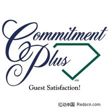 commitment歌词翻译，commitment固定搭配