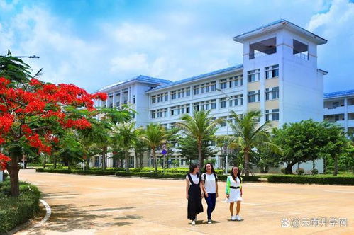请问,海南大学的研究生院在哪个校区啊?金融的。还有,就业情况怎么样?谢 
