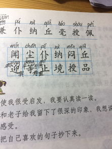 镜子拼音声调怎么标几声，镜子拼音怎么拼写声调