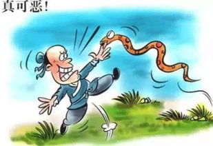 农夫与蛇的故事寓意是什么