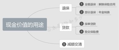 价值是什么意思