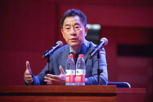 磐石最后能打赢杨岩吗