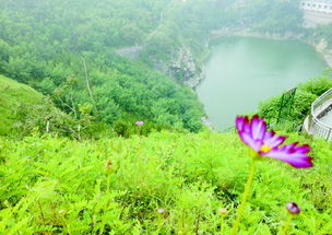 砚台上的两个池怎么用