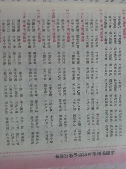 关于背的四字词语