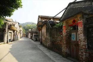 新会陈皮十大名牌