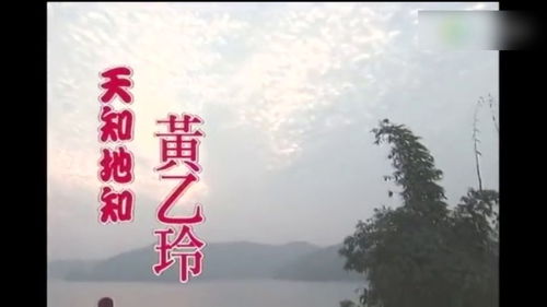 天知地知我知而已小说，天知地知我知而已